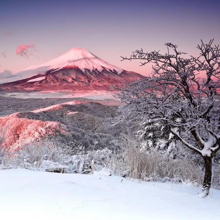 写真：風景