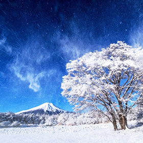 写真：風景