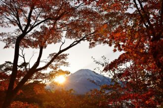 旭日丘湖畔　緑地公園